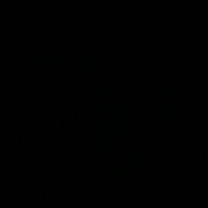 Meet your Posher, Tyzavier